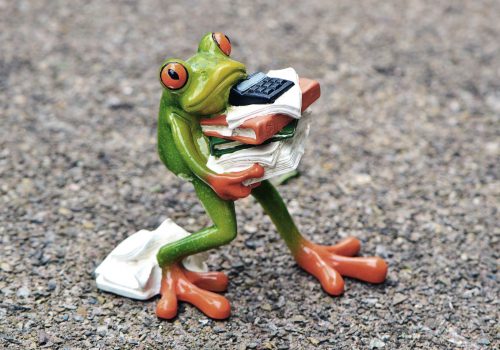 frog b 1339892 1920 alexas fotos